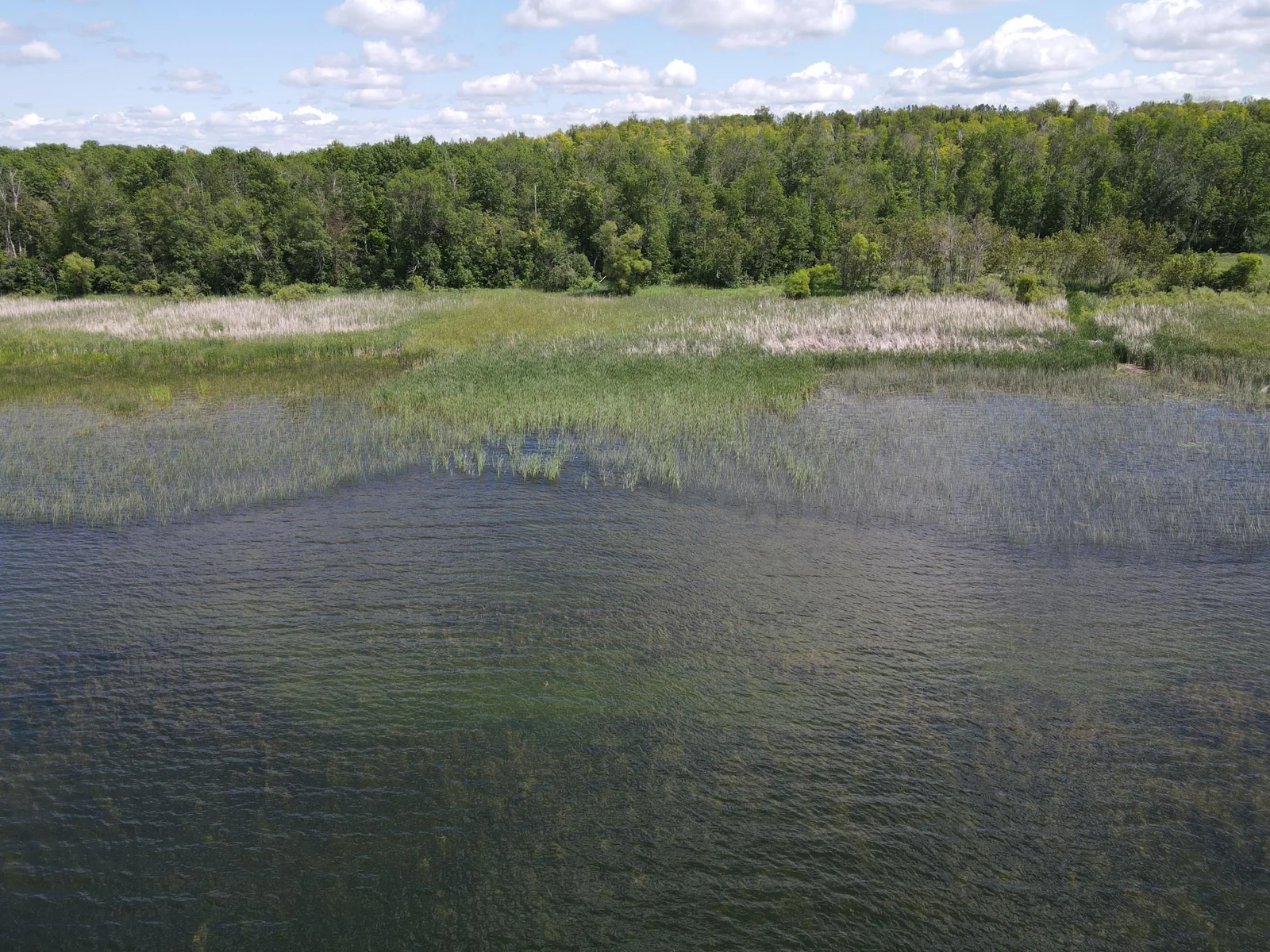 400+ feet of lakeshore