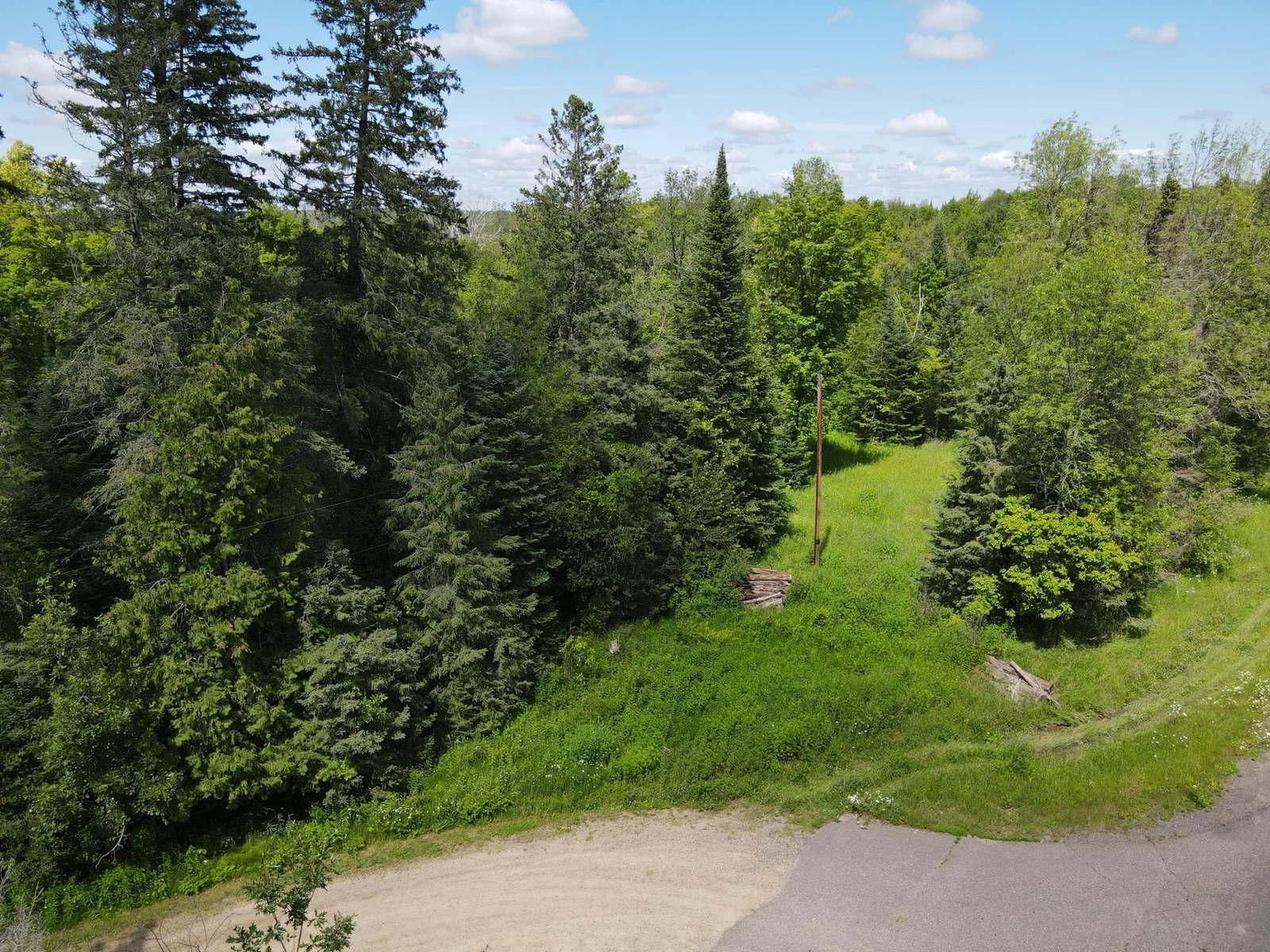 20+ wooded acres