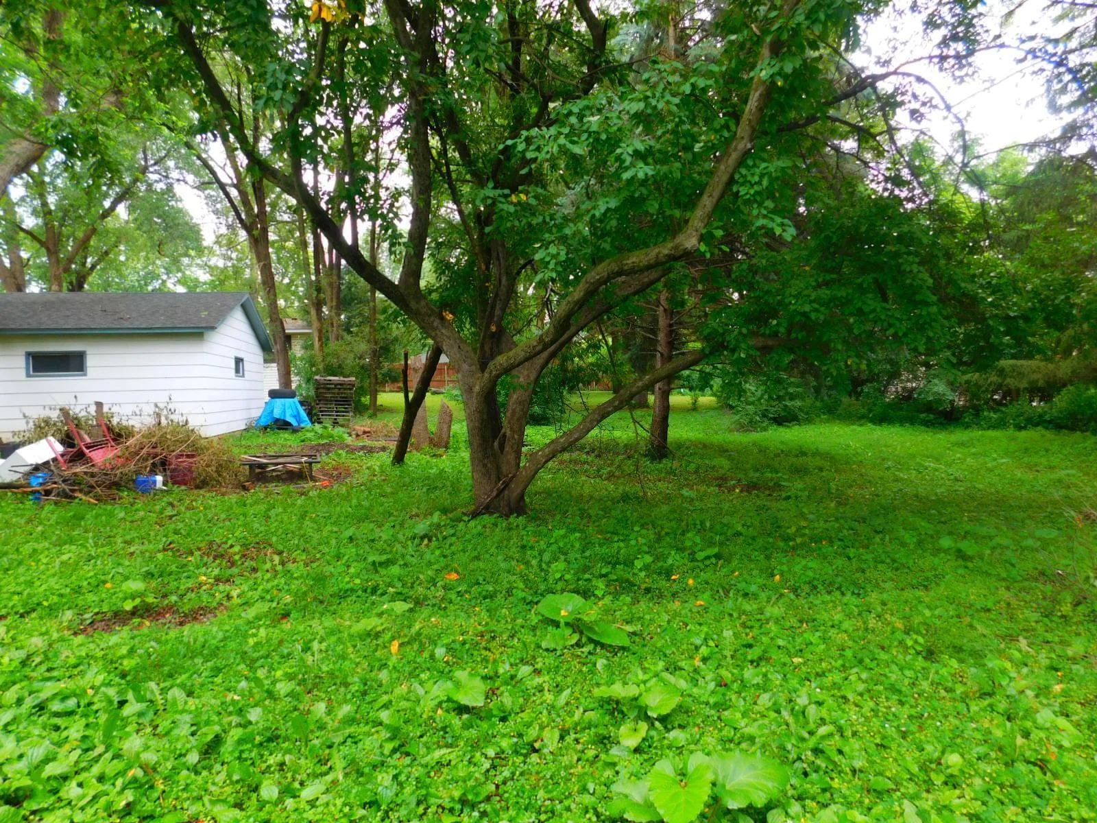 DSCN3098.JPG