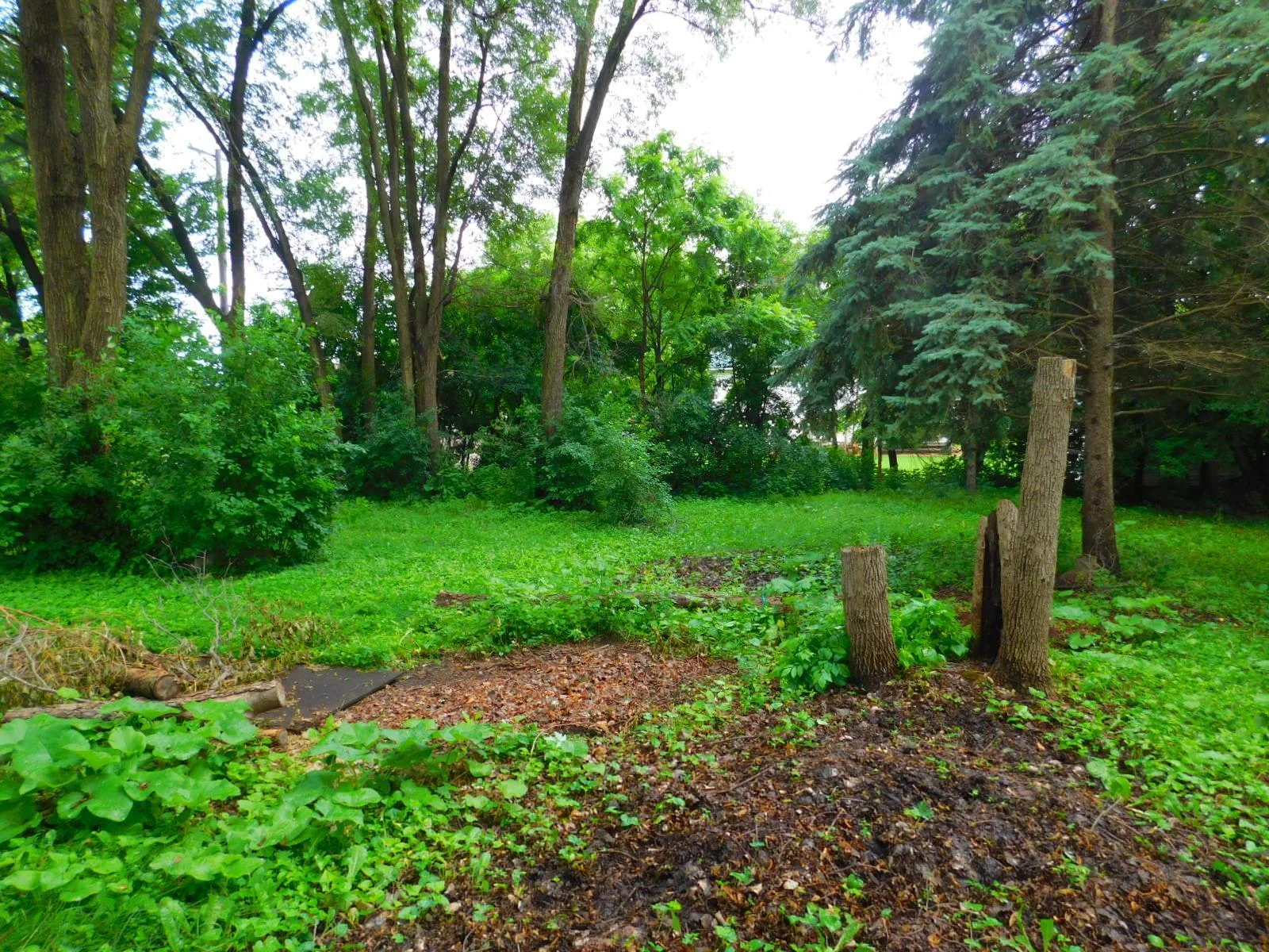 DSCN3095.JPG