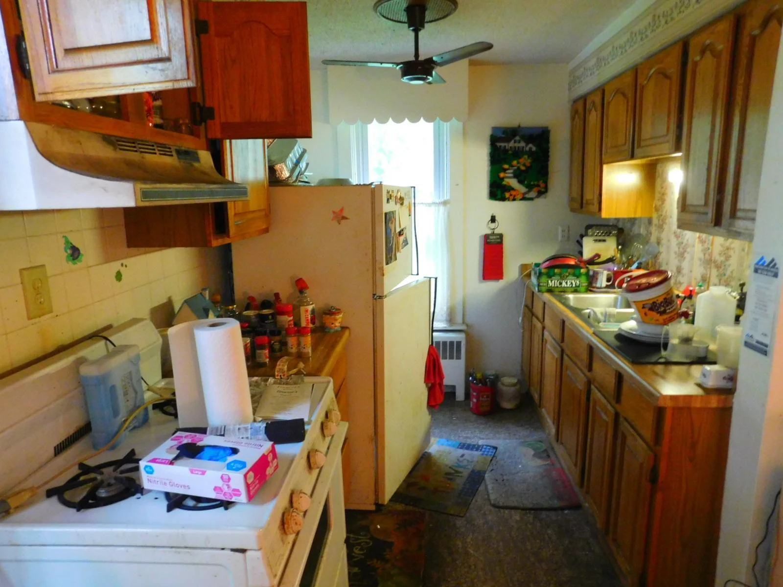 DSCN3117.JPG