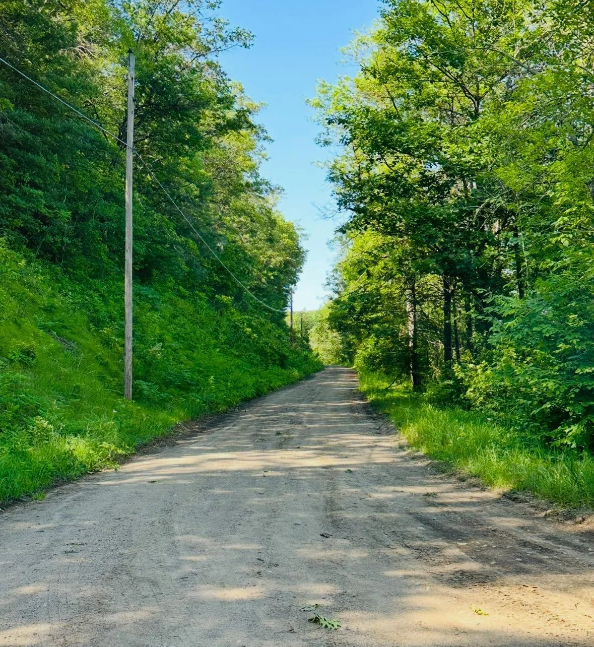 ATV or Walking Trail