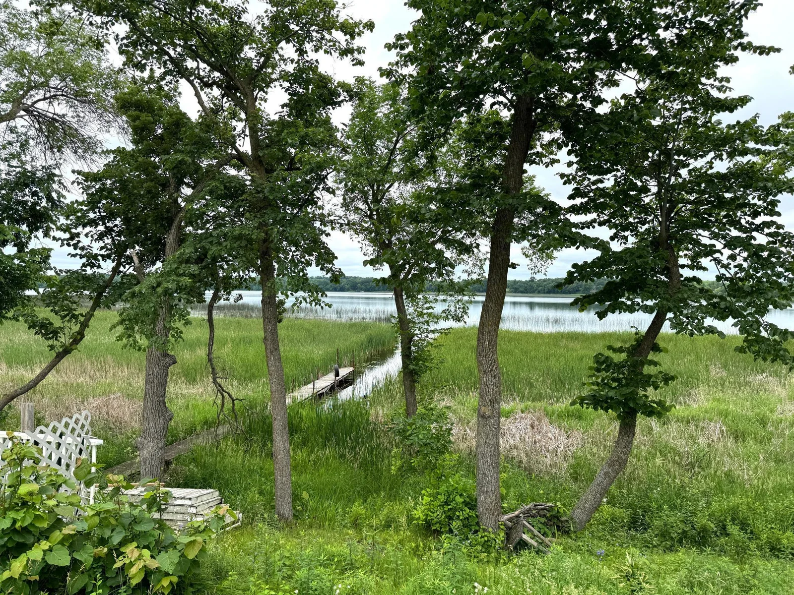 IMG_3475 3.JPG