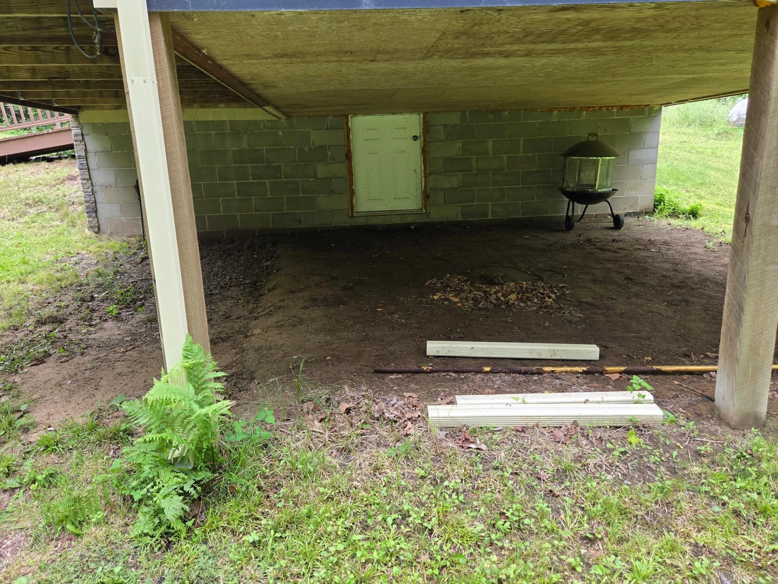 Basement/Crawl Space Entry