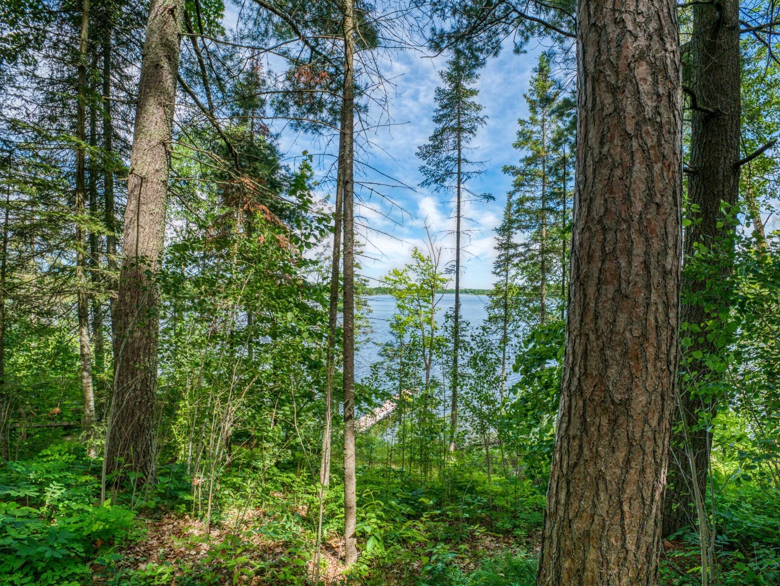 View of Lake.jpg