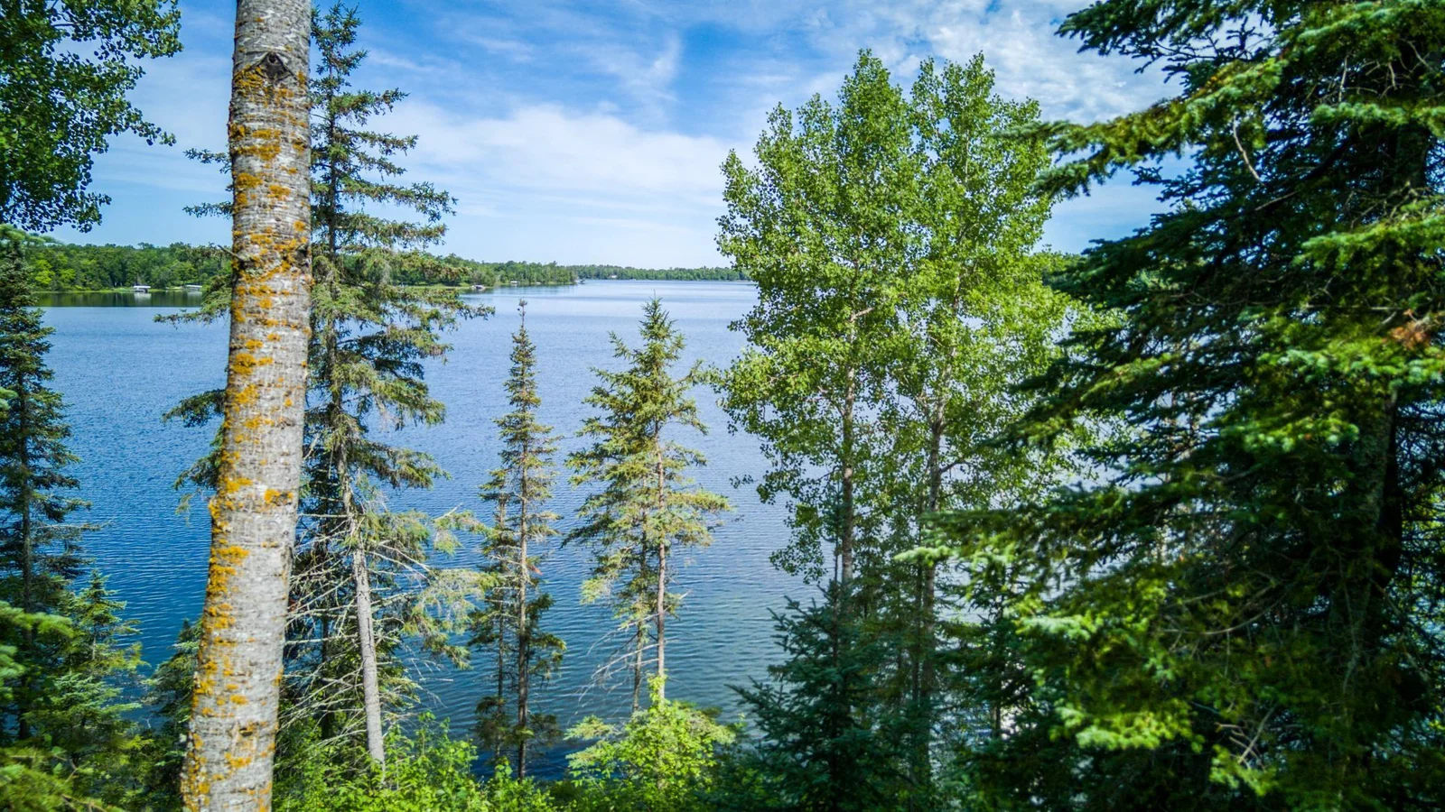 View of Lake Julia.jpg