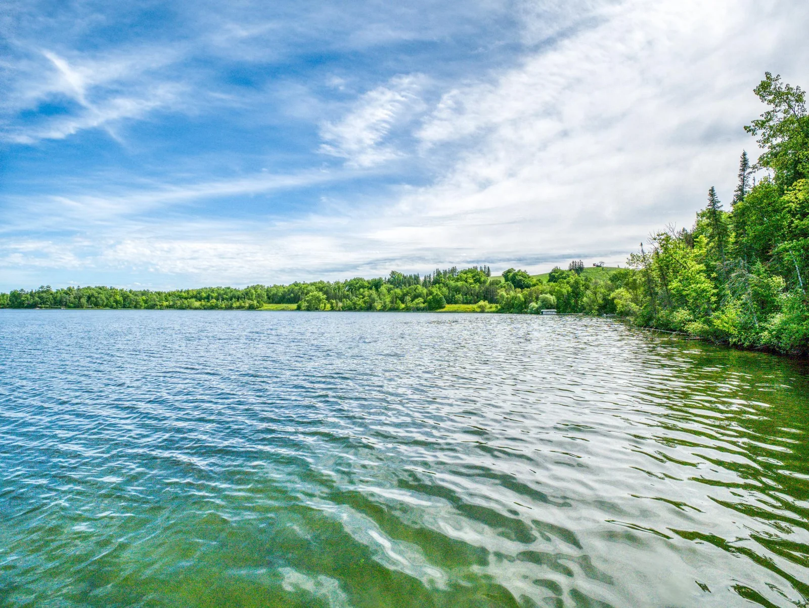 South Shore of Lake Julia.jpg