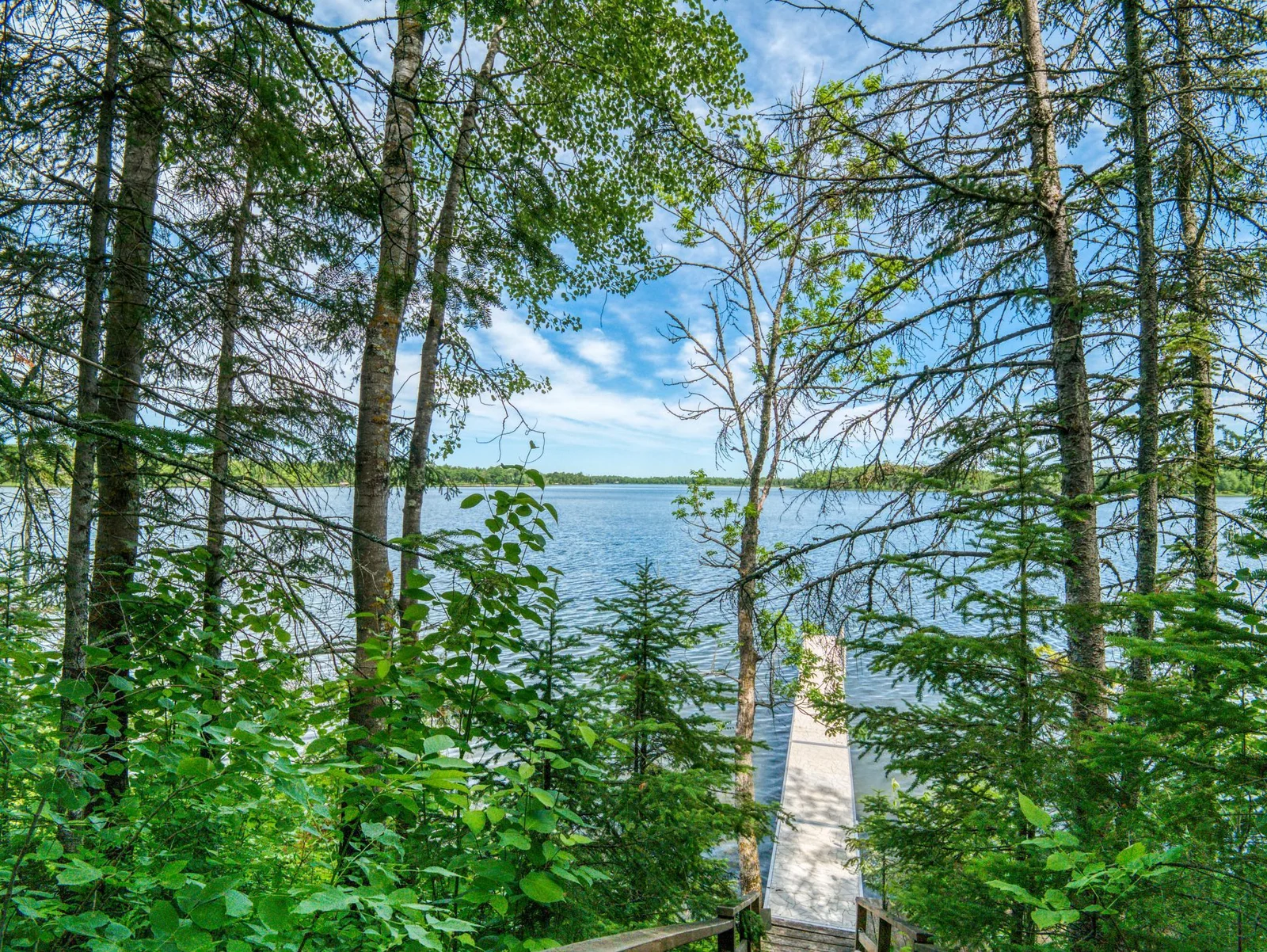 View from Stairs.jpg
