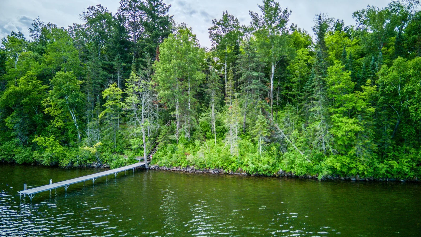 Shoreline.jpg