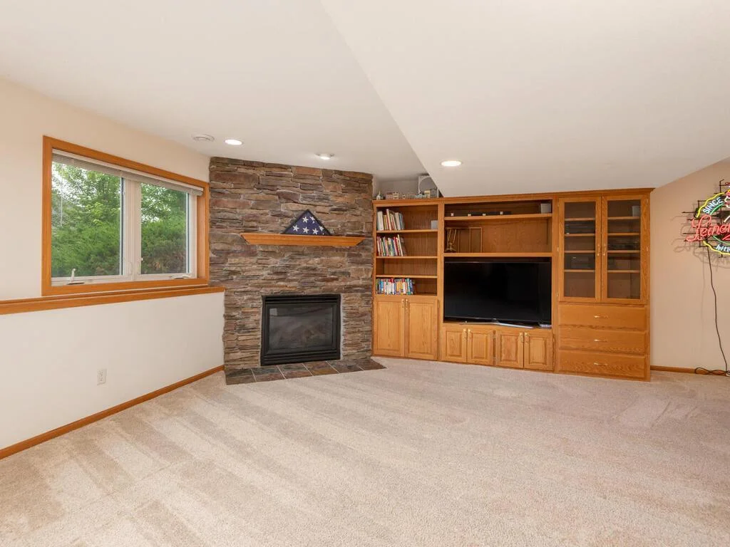 Lower level Family Room