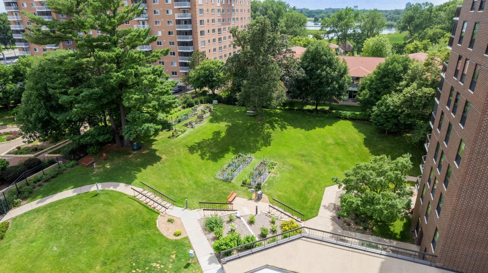 The grounds