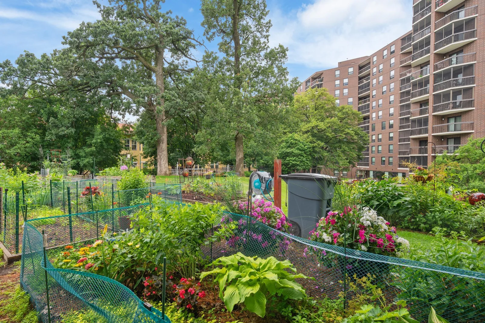 Community garden plots