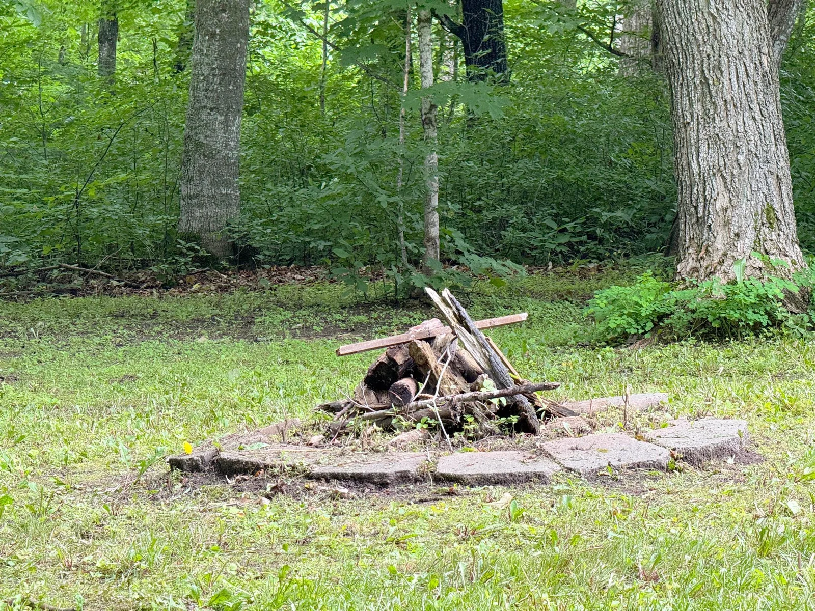 A closer look at the firepit.