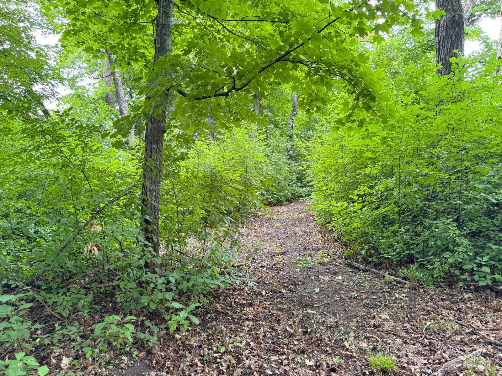 More views of the trail.