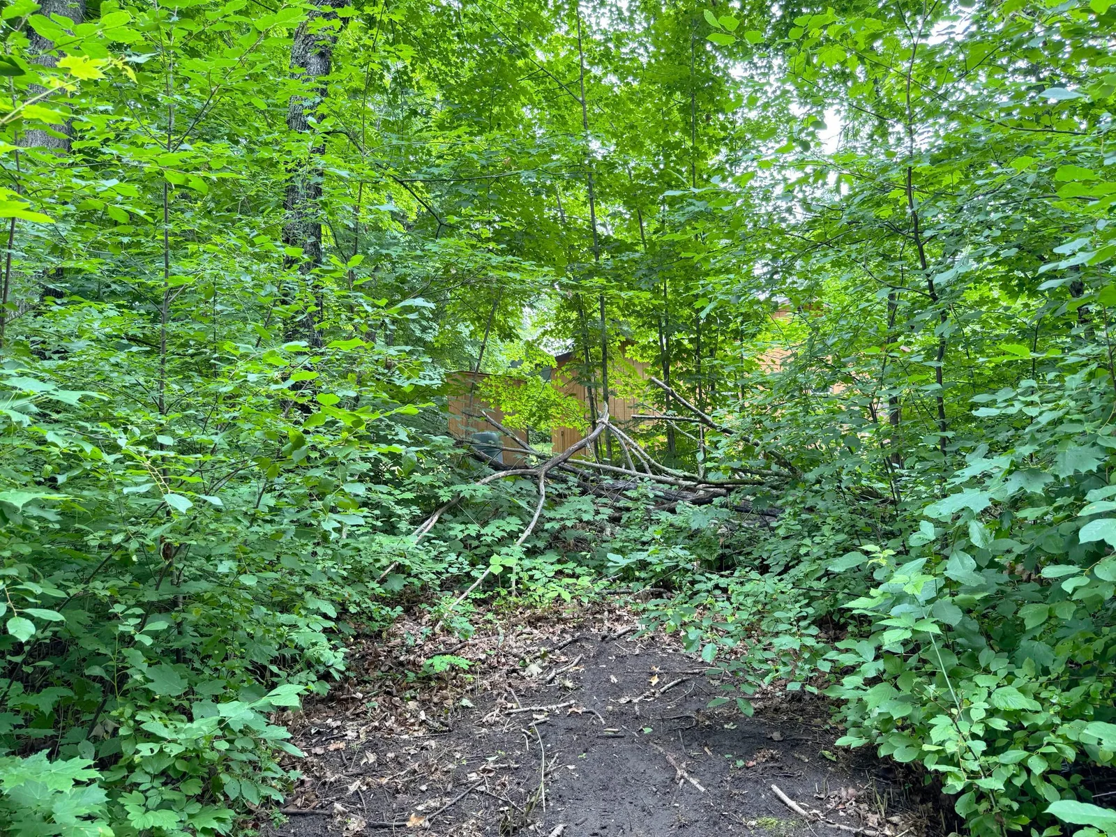 One more shot of the trail.