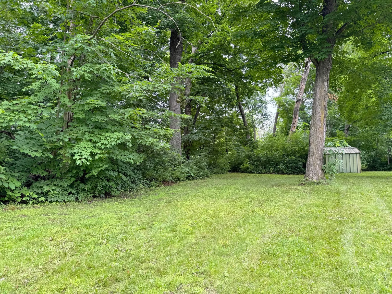 More views of the spacious lawn.