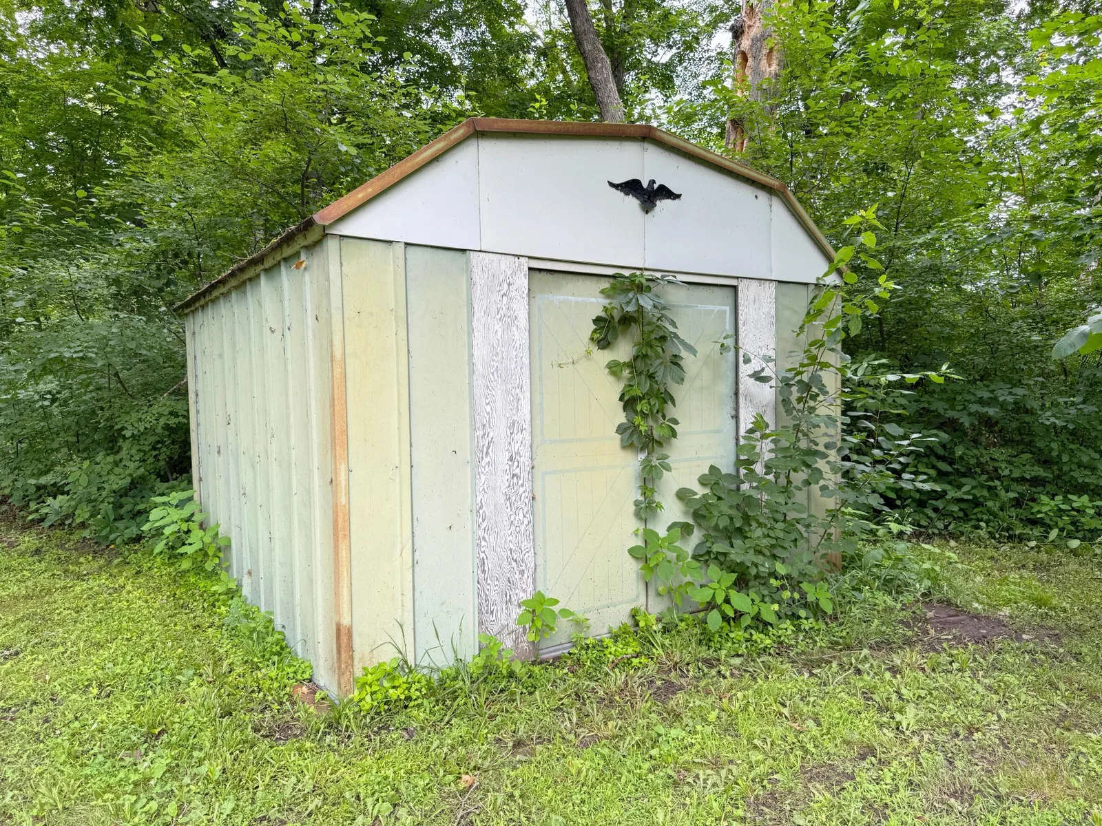 A shot of the shed.