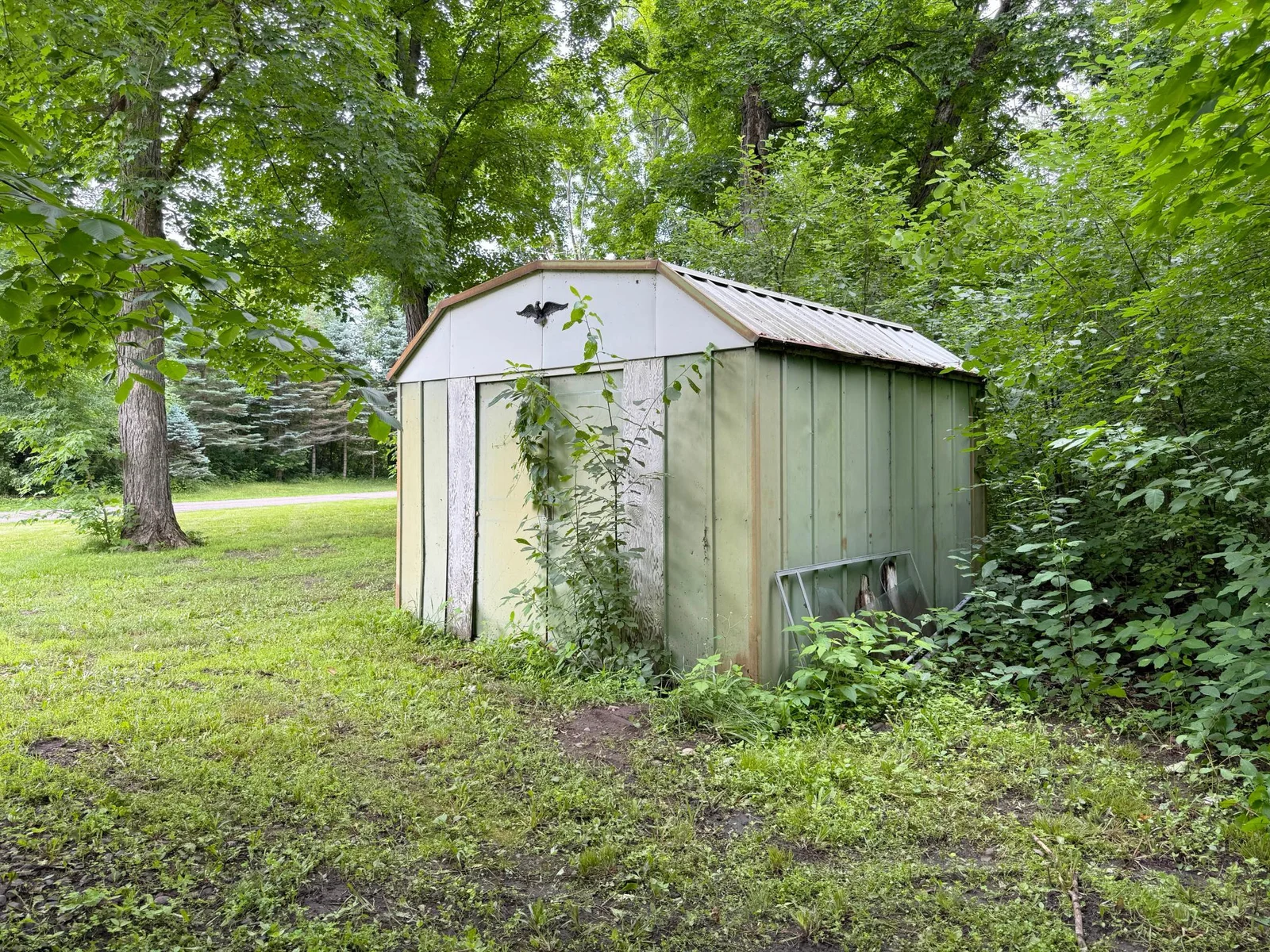Another angle of the shed.
