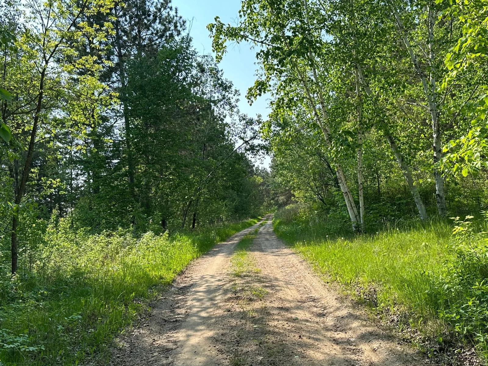 Welcome to 120 Acres in Maple TWP
