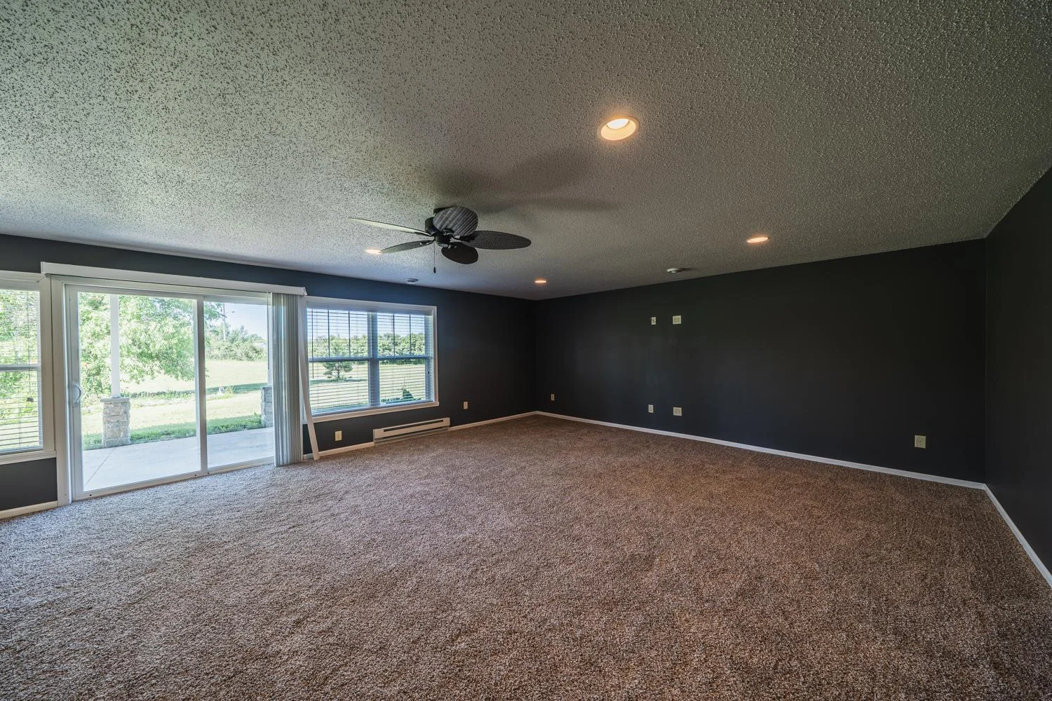 Walkout Family Room