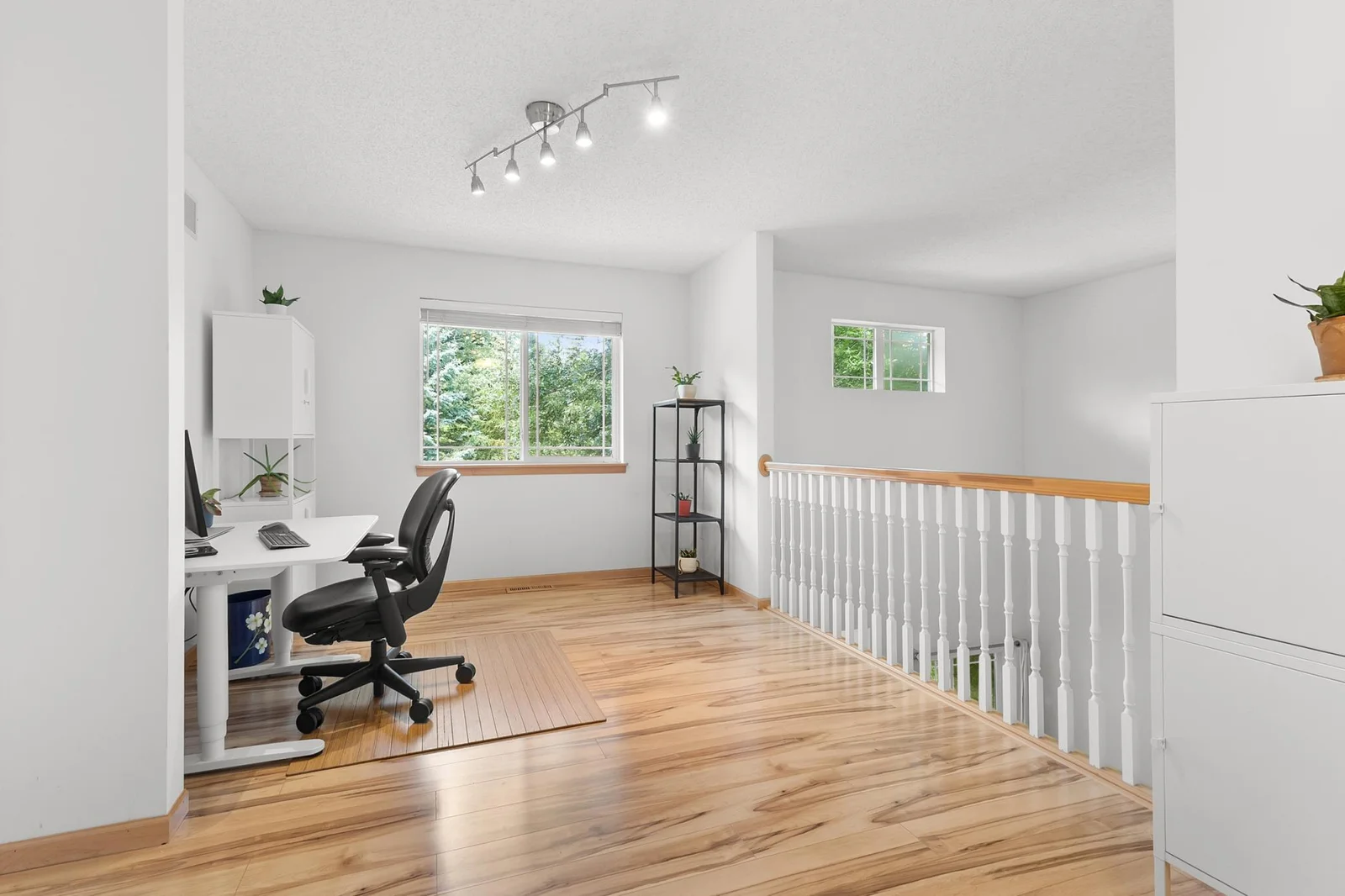 Expansive Loft