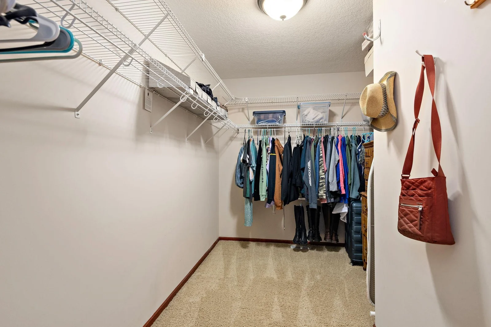 HUGE Primary/Owner's Suite with huge walk-in closet!