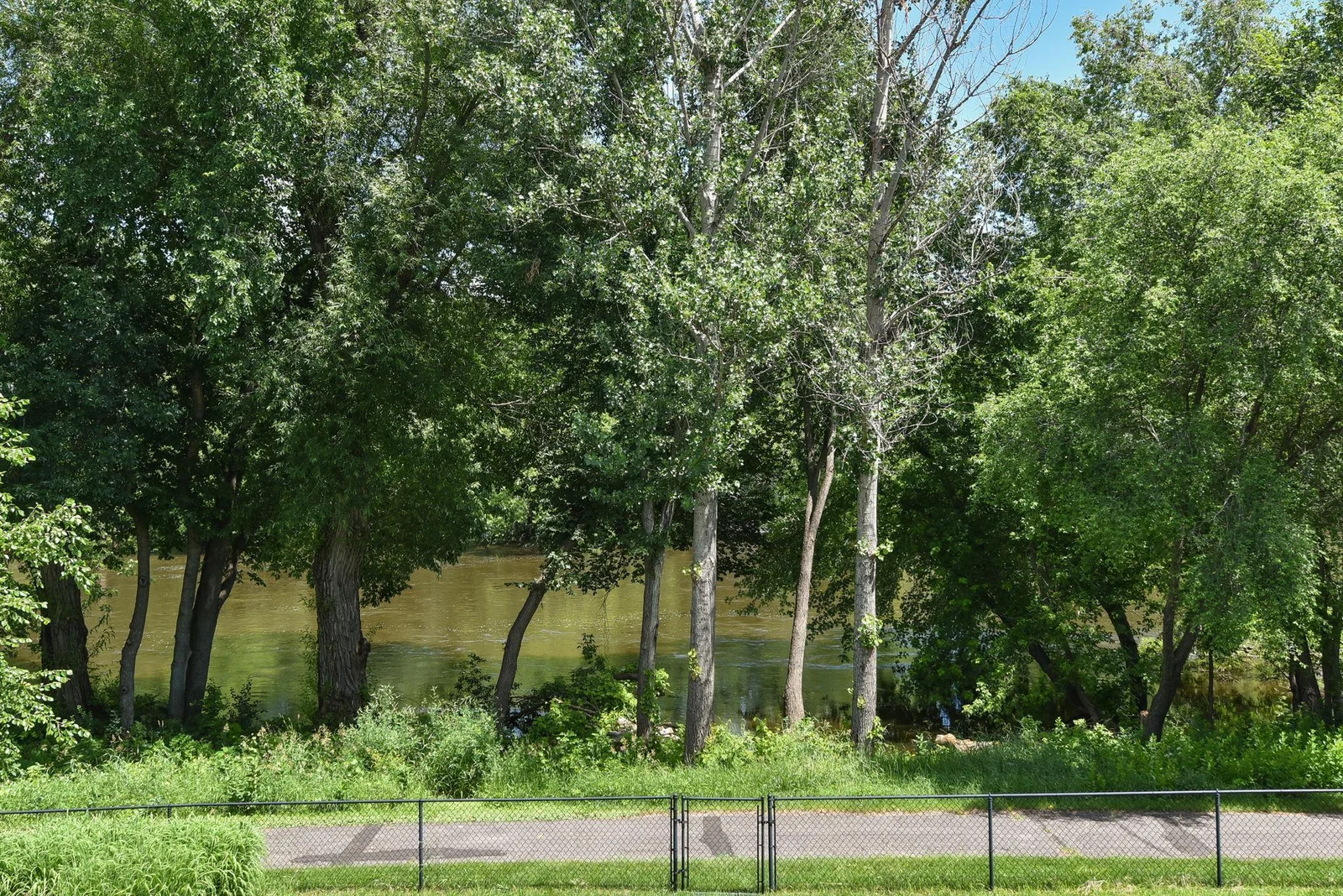 Additional view from back yard!