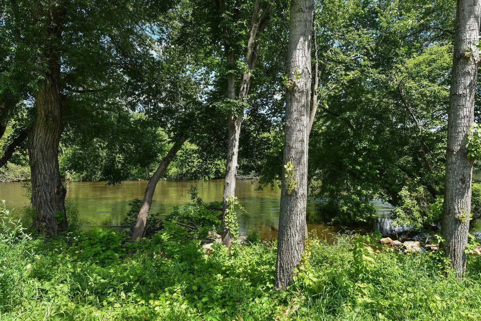 More River Views!
