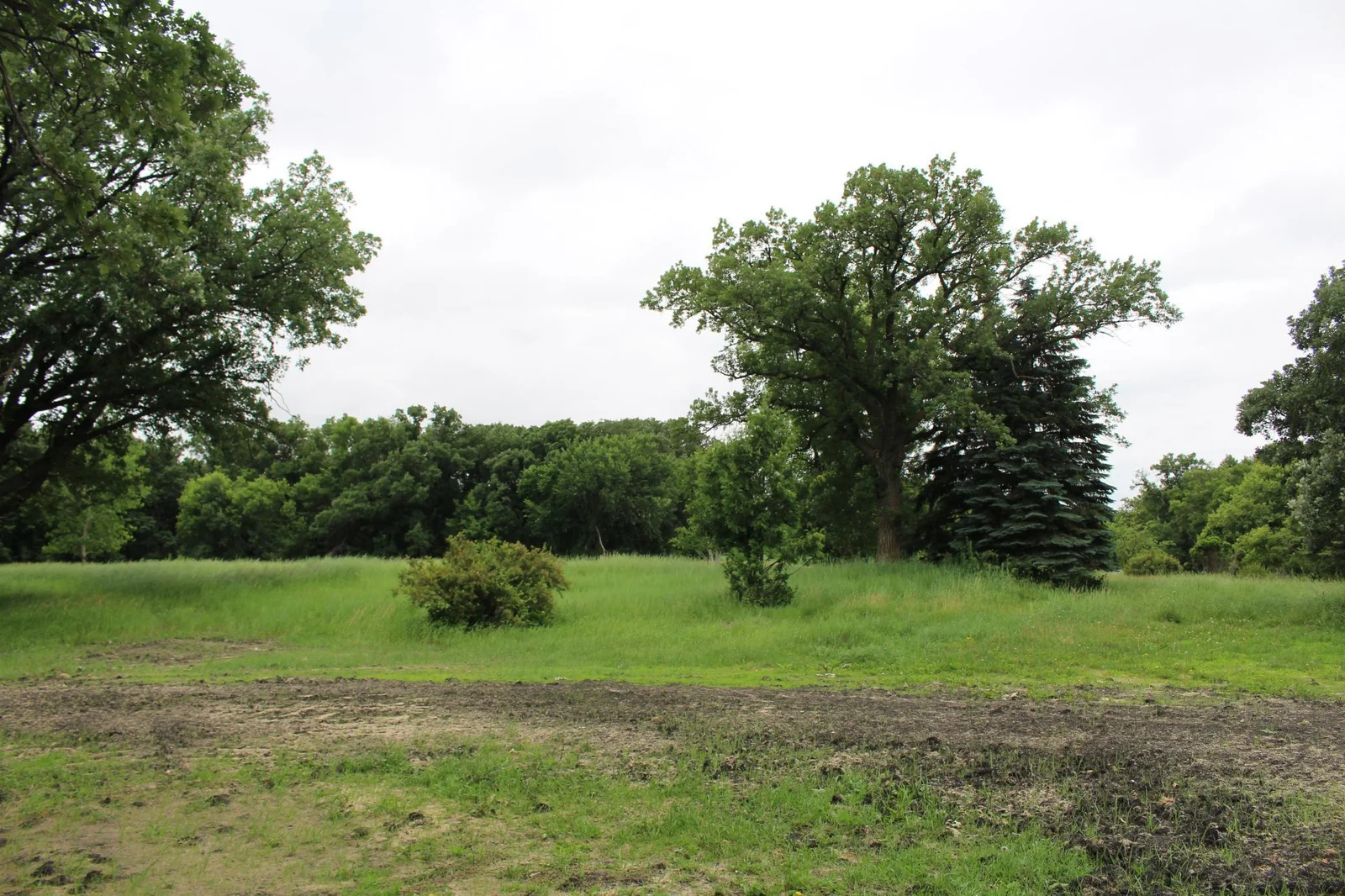 Take a tour of the land. Stakes will mark three of the four corners of the property