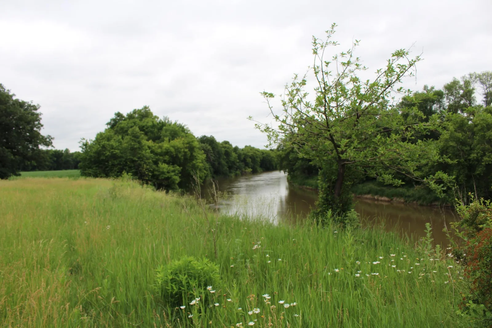 Gentle bend in the river. All you can hear are the birds singing!