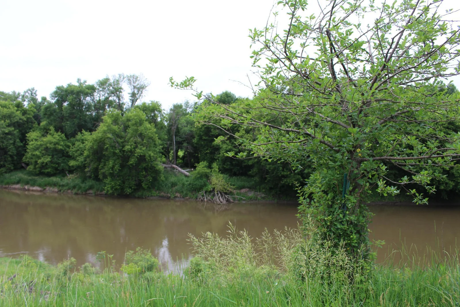 Wonderful river views, fishing and kayaking await!