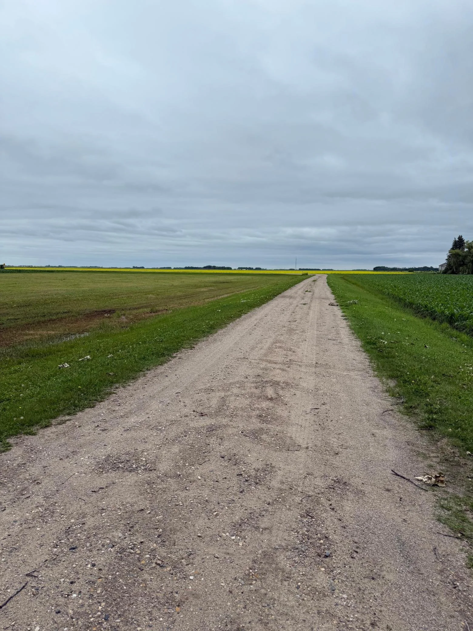 Private 500+ feet road dead ends for complete privacy!