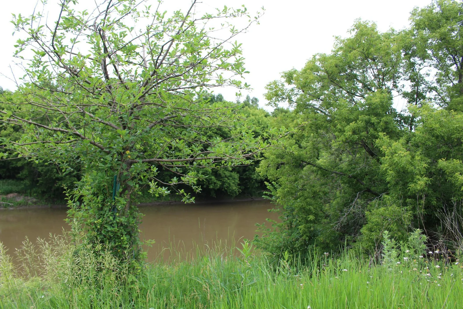 Views of the river