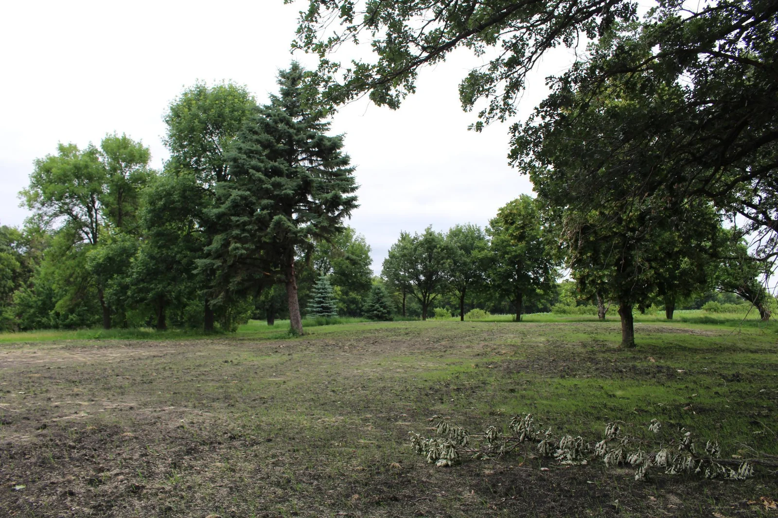Flat landscape with mature trees and pure privacy!