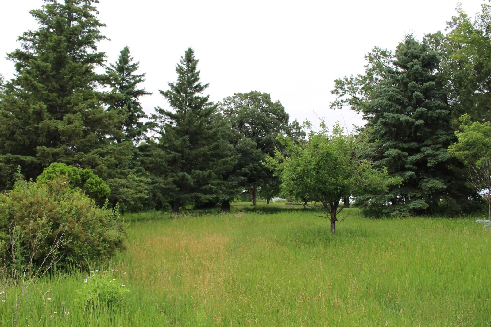 Won't be hard to fall in love with this gem of a property!