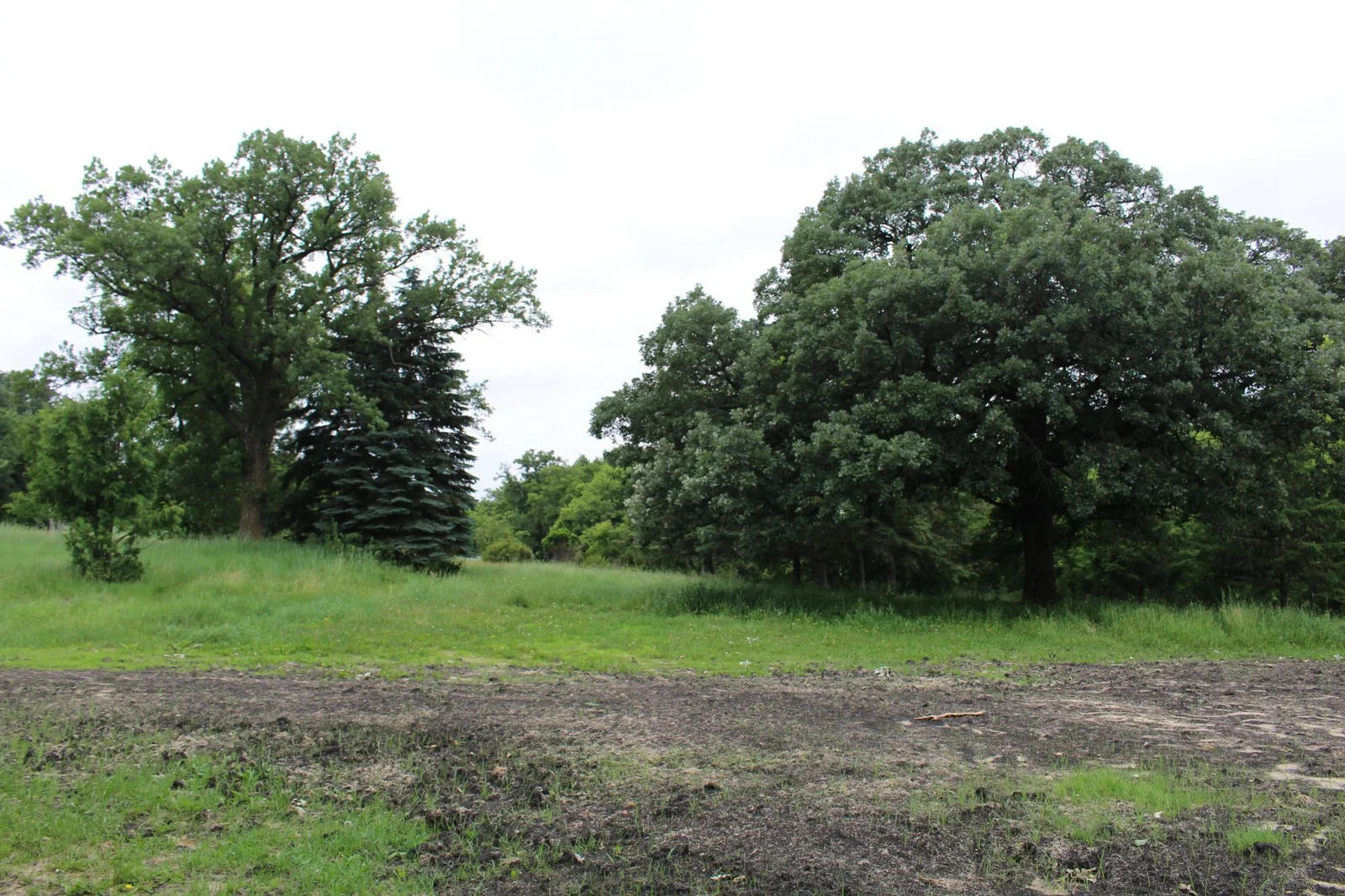 Enjoy the seclusion and the animals-tons of deer, turkeys, coyote and more