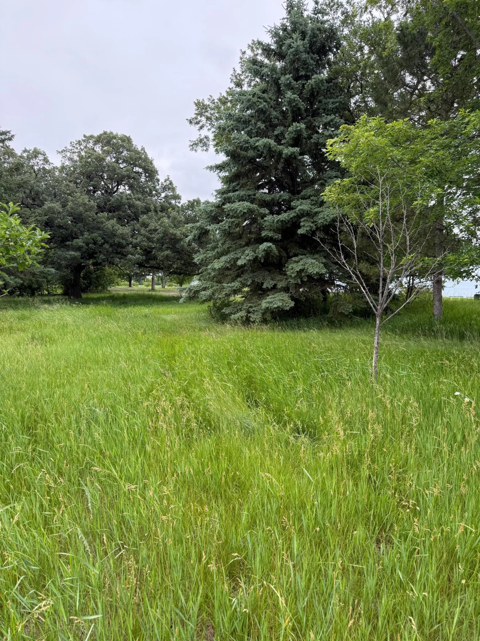 Take a tour for yourself! You will love this property!