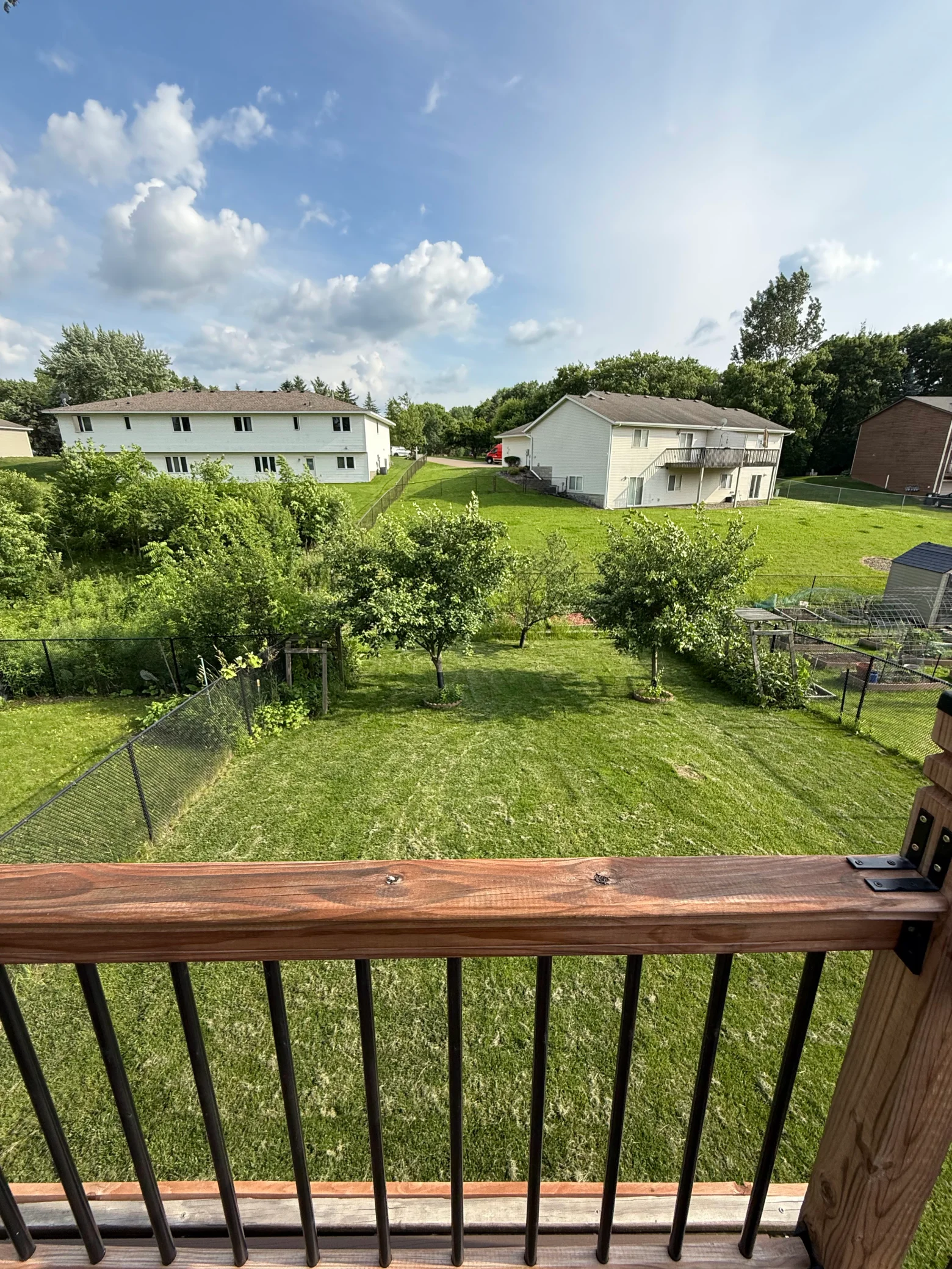 11-01-backyard.png