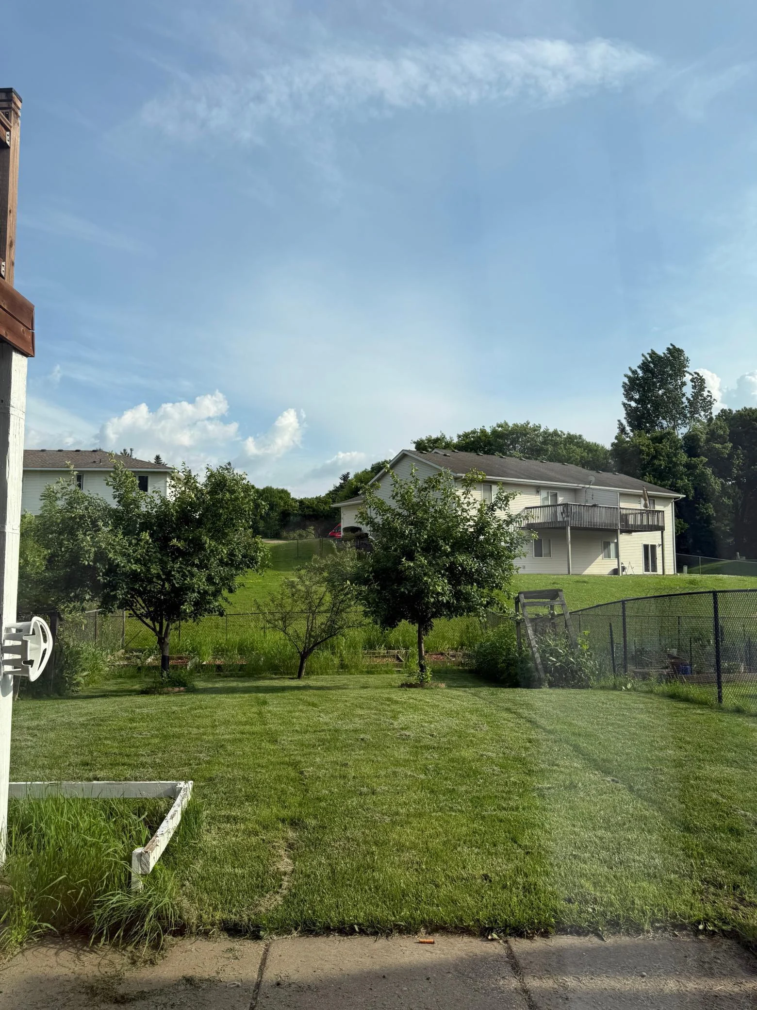 11-03-backyard.jpg