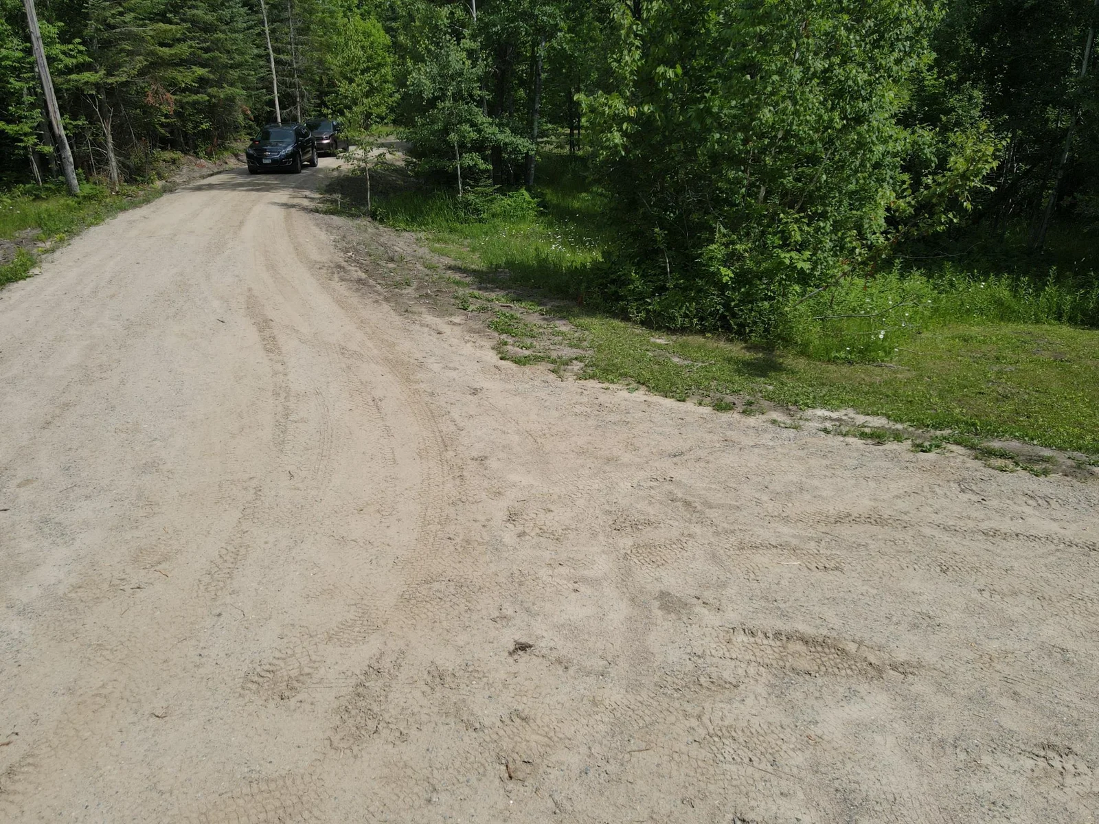 Driveway_In