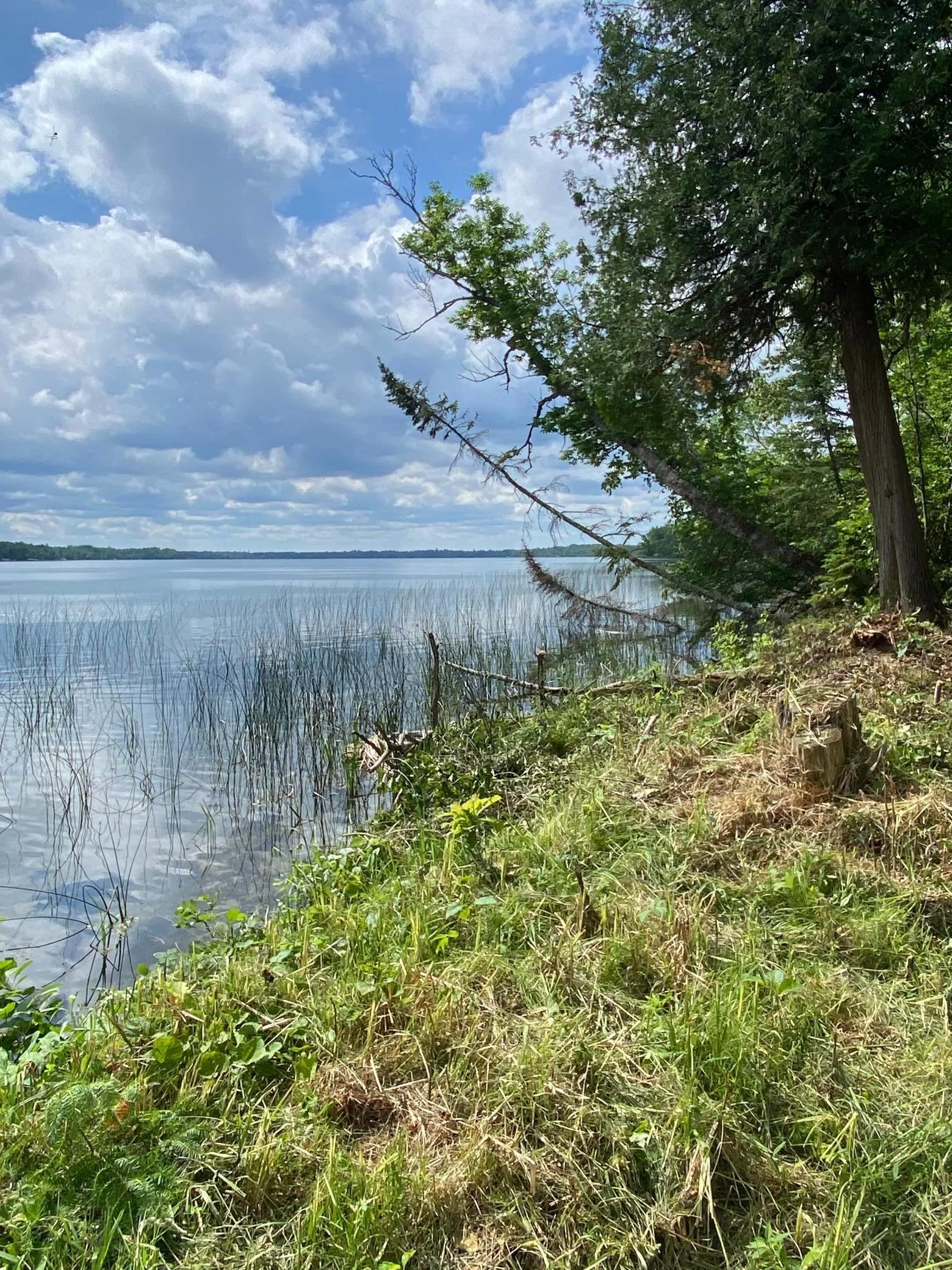 Lakeshore