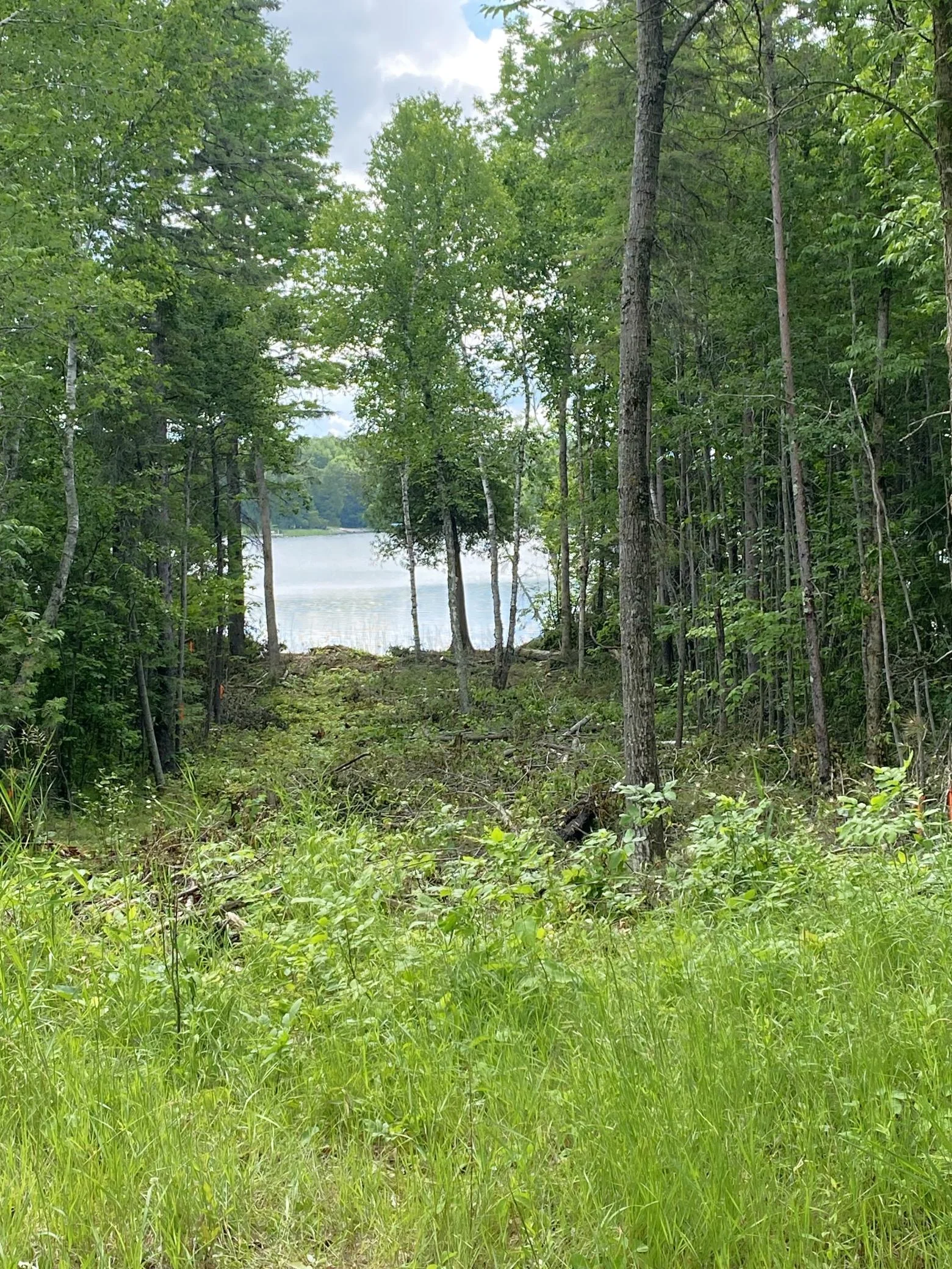 Trail to Water