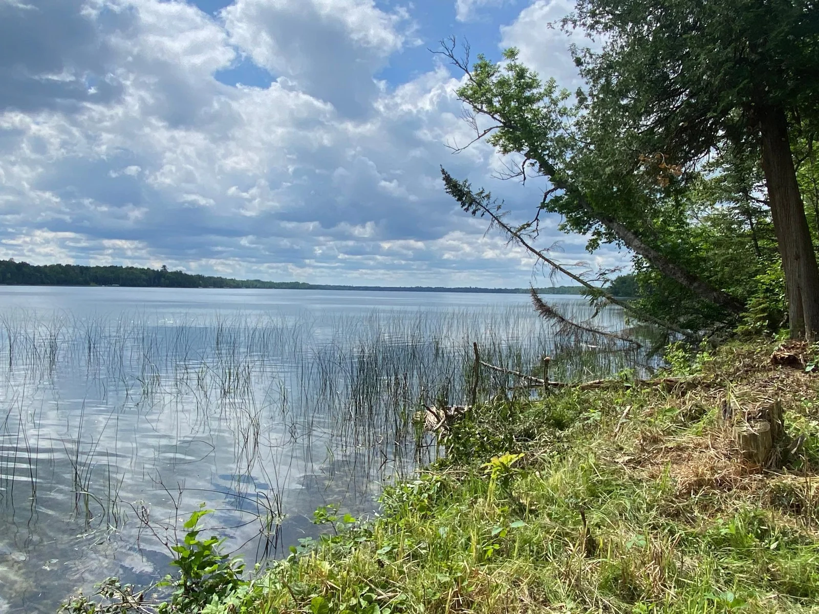 Lakeshore