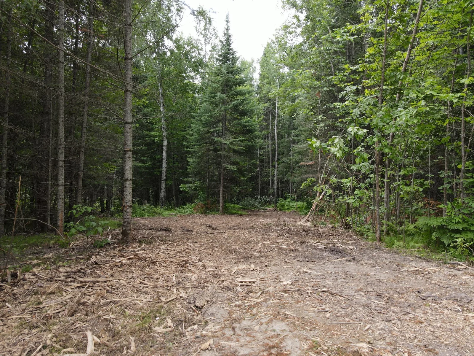 Thumbnail photo 6