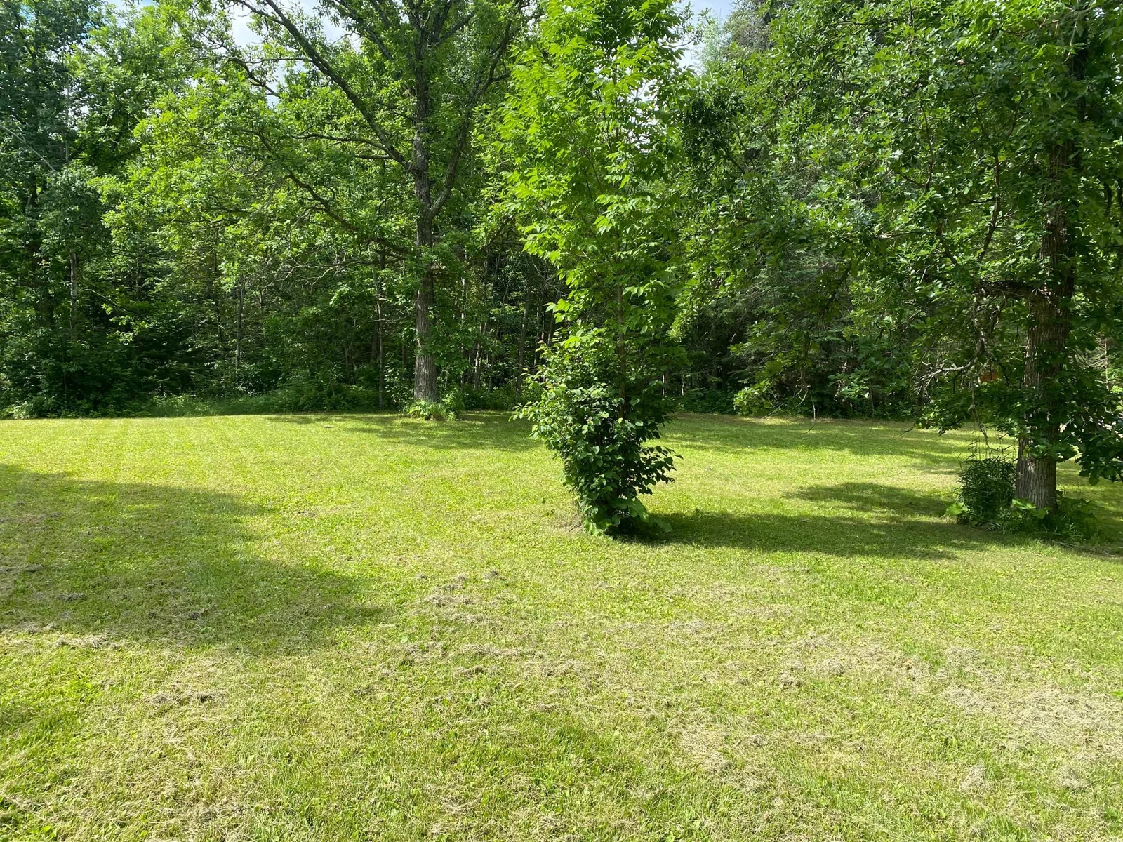 Park Like Area