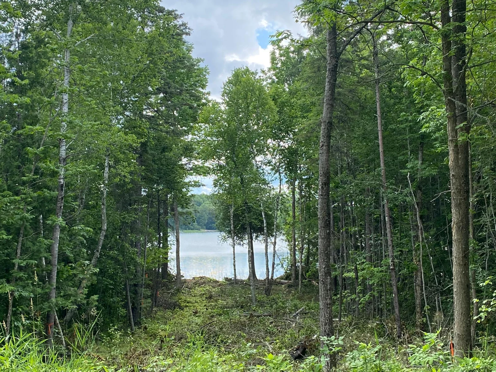 Trail to Water