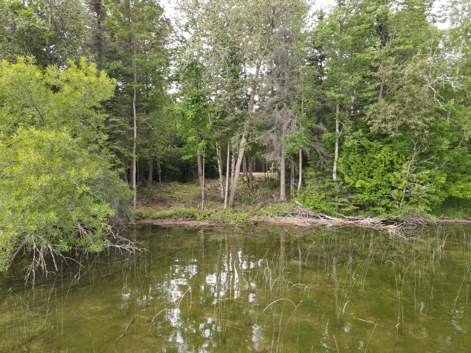 Lakeshore