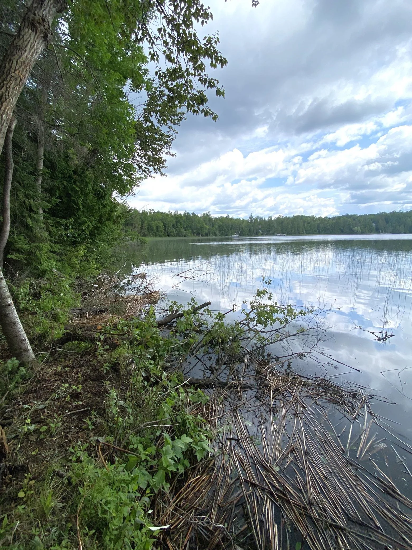 Lakeshore
