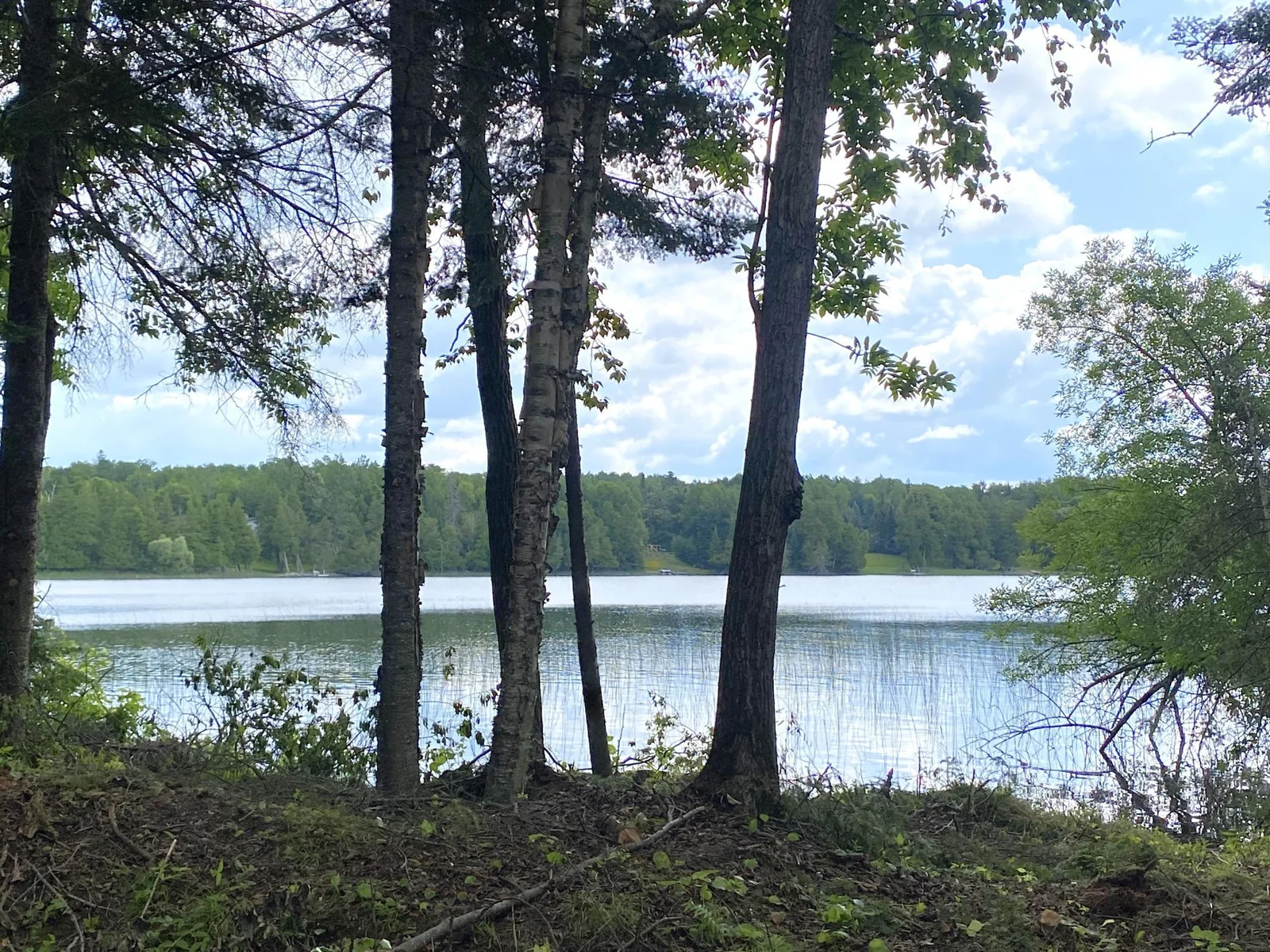 Lakeshore