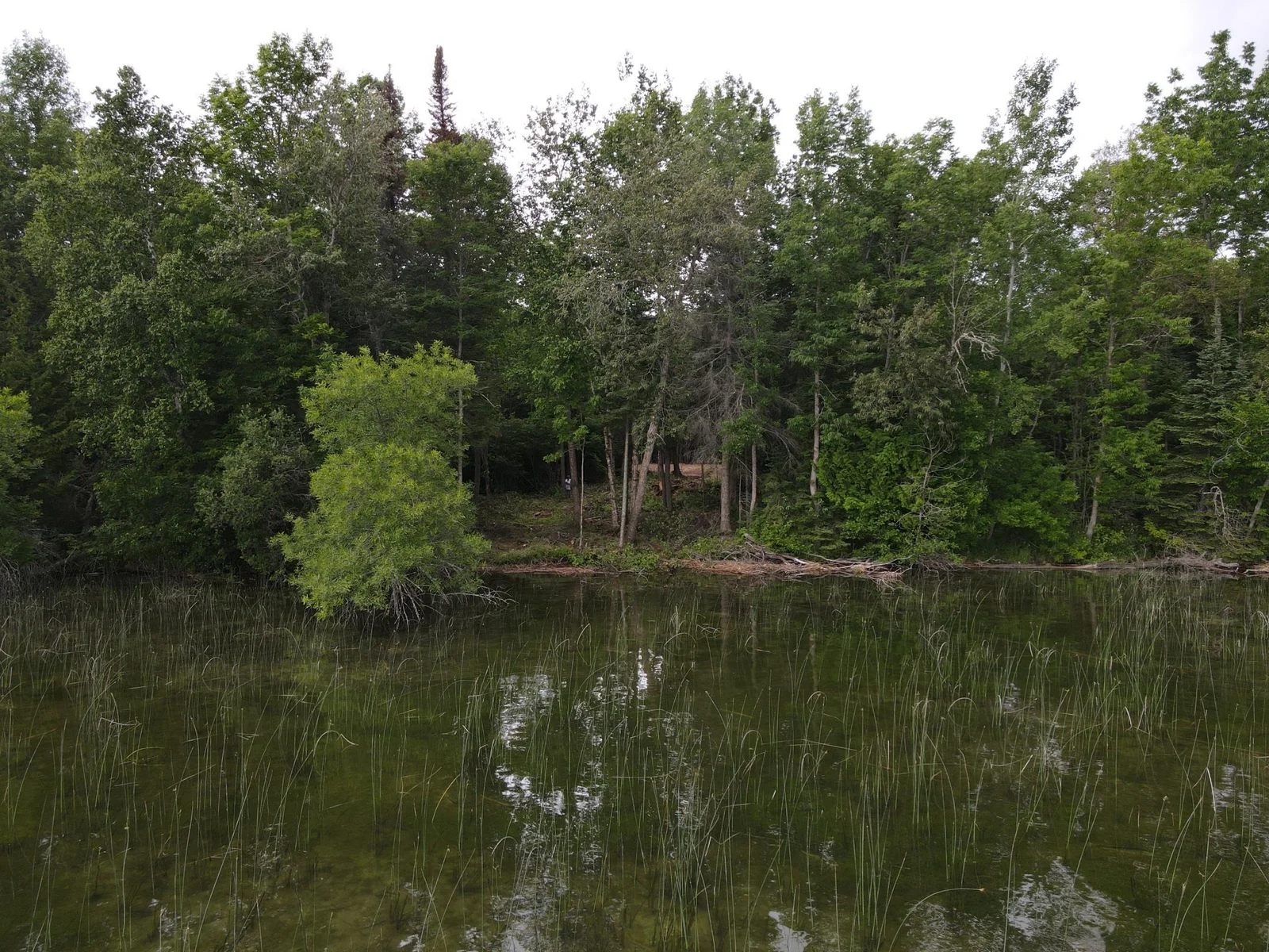 Lakeshore